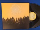 DECEMBERISTS THE KING IS DEAD