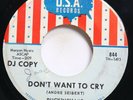 BUCKINGHAMS - DON'T WANT TO CRY / I'LL GO CRAZY - ROCK 45 *PROMO*