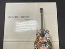 Joey Cape X Toby Sly acoustic vinyl