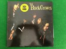 Black Crowes 