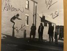 The Lathums How Beautiful Life Can Be ZOETROPE Signed vinyl LIMITED numbered
