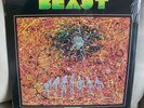 NEW BEAST S/T LP 1969 COTILLION ROBERT YEAZEL KENNY PASSARELLI PSYCHEDELIC NICE