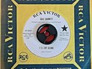 northern soul Gale Garnett I'll cry alone PROMO EX condition