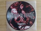 CRADLE OF FILTH - VEMPIRE - RARO EP 12” PICTURE DISC