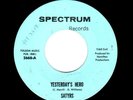 PHILLY GARAGE-SATYRS-YESTERDAY'S HERO/MARIE-SPECTRUM 2668
