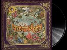 Panic  At The Disco: Pretty Odd Vinyl LP. A Fever You Can't Sweat Out. Too Weird