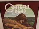 Original Vintage GRATEFUL DEAD Wake of the Flood Vinyl LP Record Album 1973 USA