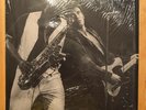 Bruce Springsteen - The Great White Boss 3 LP boxed set