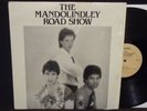 THE MANDOLINDLEY ROAD SHOW - S/T LP RARE 1985 N.Y.C PRIVATE PRESS  PAUL MC KASTY