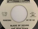 Psych Promo 45/ New Dawn  
