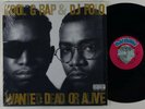 Kool G Rap & DJ Polo 