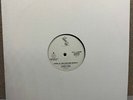 Steely Dan Here At The Western World Vintage Vinyl Promo 12