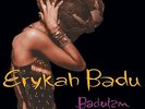 Erykah Badu - Baduizm Vinyl