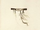New Music Jose Gonzalez 