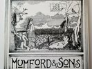 Mumford & Sons - Love Your Ground 10