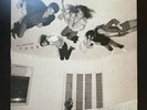 FLEETWOOD MAC THE ALTERNATE TUSK VINYL RECORD STORE DAY RARE & OOP