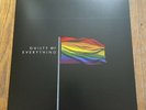 Nothing Guilty Of Everything LGBT Awareness Vinyl Rainbow Cashgrab Relapse Splat