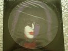 KISS   Paul Stanley Solo   ? SEALED PICTURE DISC LP Casablanca ?NBPIX 7123