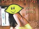 Dope Lemon - Honey Bones