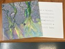 Alt-J An Awesome Wave White Vinyl LP INFECT134LP EX+