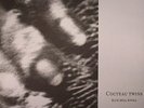 COCTEAU TWINS - Blue Bell Knoll (remastered) - Vinyl (LP)