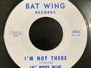 Lil Boys Blue: I'm Not There/Take You Away NM 45 Rare Bay Area Garage Punk
