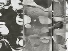 SKINS N SLIME [VINYL], OLIVER COATES, Vinyl, New, FREE & FAST Delivery