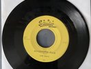 VERY RARE Grasshopper Rock By Link Davis Country/Rockabilly 1956  45 Single
