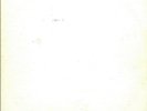 BOB DYLAN: 'Great White Wonder' - 2-Vinyl-LP - USA 1969 - Original blank white