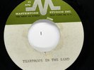 BEACHNUTS/HOLLYWOODS Lou Reed ACETATE Sad Lonely b/w Teardrops In the Sand HEAR