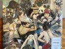 PANDA BEAR - PERSON PITCH - 2017 MY ANIMAL HOME (MAH08) - SHRINK *INDIE ROCK*