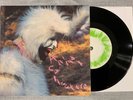 ANIMAL COLLECTIVE Who Could Win A Rabbit 7” b/w Baby Day 7FAT15