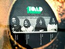 LP von TOAD - Originalpressung Bellaphon/Hallelujah Records 1971, Vinyl