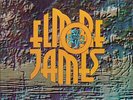 Elmore James To Know A Man DUTCH ORIGINAL NEAR MINT Blue Horizon 2xVinyl LP