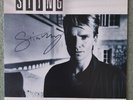 Sting signed Dream of Blue Turtles Vinyl LP  Gorgeous item