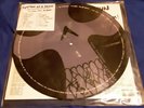 SYSTEM OF A DOWN STEAL THIS ALBUM PICTURE DISC (DOUBLE ALBUM) Never played