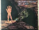 Rare Big Sleep Bluebell Wood 1st UK Press LP Peg4 A-1U/B-1U EX/EX+