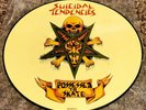 Super Rare Suicidal Tendencies Possessed To Skate Picture Disc Record Slayer DRI