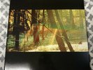 ? CHILDISH GAMBINO - CAMP W/ POSTER ?