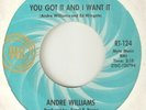 ANDRE WILLIAMS You Got It And I Want It RIC TIC DETROIT NORTHERN SOUL USA 45