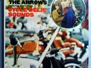 DAVIE ALLAN & ARROWS CYCLE-DELIC SOUNDS RARE ORIG '68 TOWER STEREO LP BEAUTIFUL