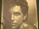 Lindsey Buckingham Law and Order LP gate hinge cover 6302167