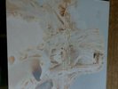 Lp PALE SAINTS In Ribbons UK 1992 4AD Prima Stampa