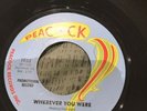 Northern Soul Bud Harper Wherever You Were/ Mr Soul