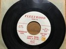 ROSCOE & LITTLE GREEN MEN 45 Ghost Riders In The Sky -outsider Rockabilly HEAR