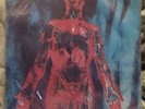 Nirvana Sliver Original 12” LP NEVER Used
