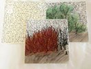 Explosions In The Sky VINYL The Earth Is Not A Cold Dead Place 2x LP NEAR MINT
