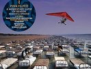 Pink Floyd A Momentary Lapse Of Reason (remixed & Updated) - Vinyl Viny (New)