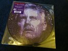VINYL 2LP - FUN ON EARTH / ROGER TAYLOR (PICTURE DISCS)