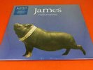 JAMES | Millionaires | OOP RARE SEALED EU 2013 2 x 180 gram Vinyl LP